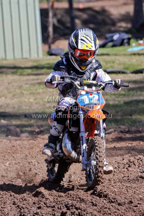 445x677 pixels (74K)